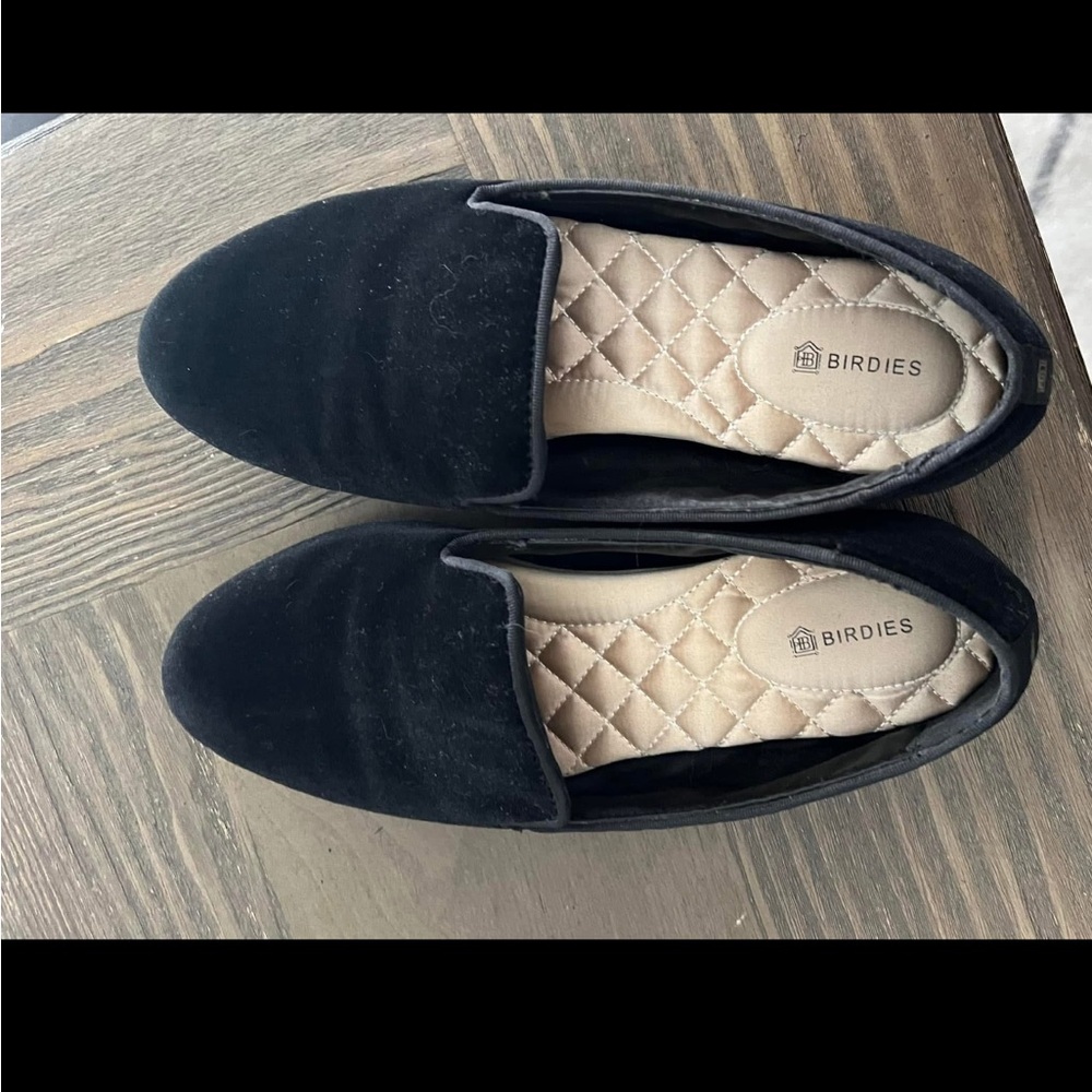 Birdies the starling